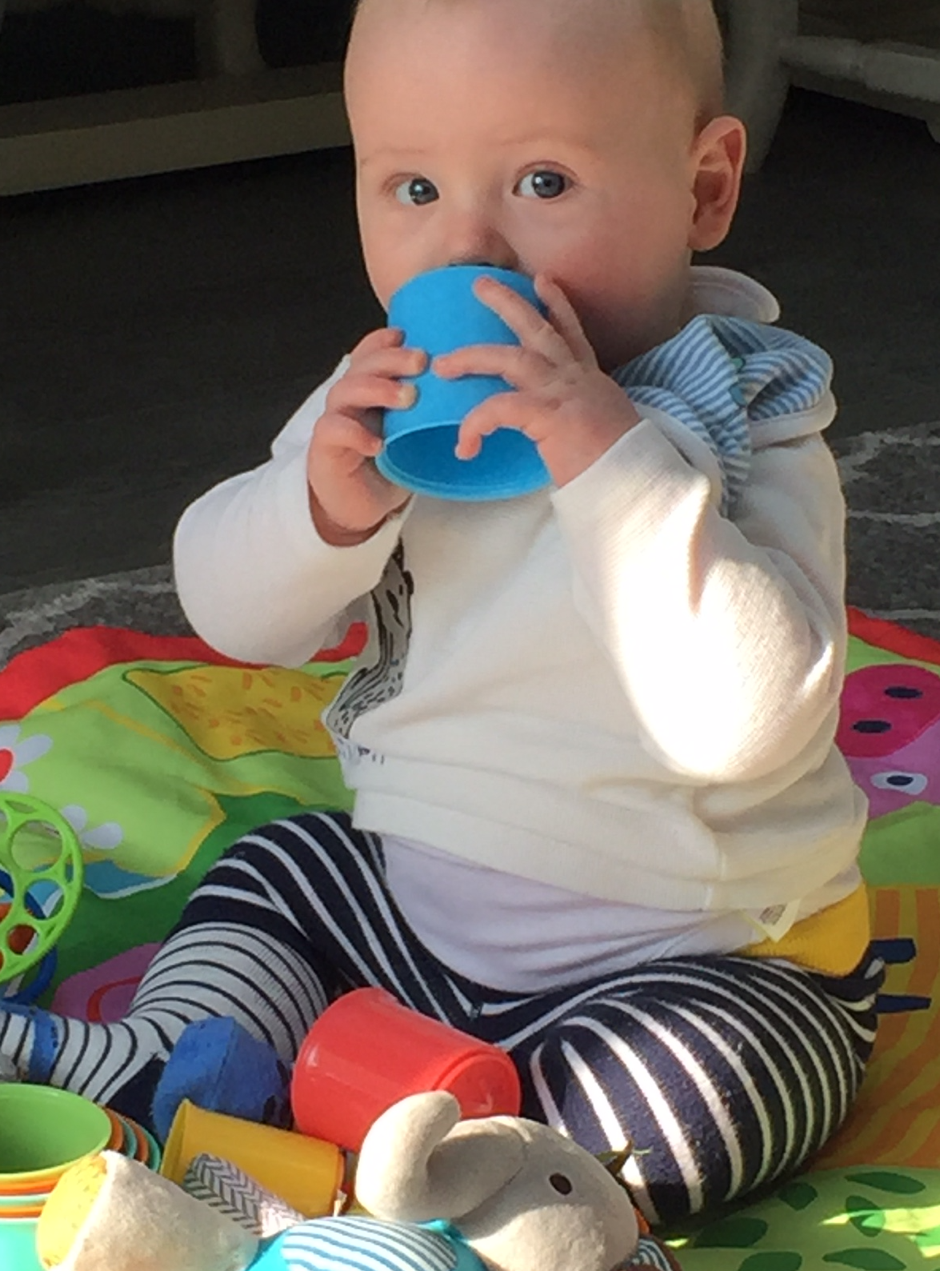 rafe